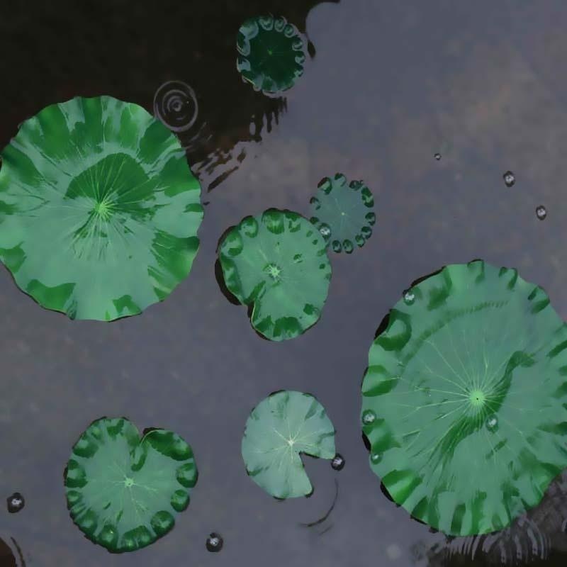 2026 Artificial Water Lily Lot - Marine Fish Tank ulasan dan harga