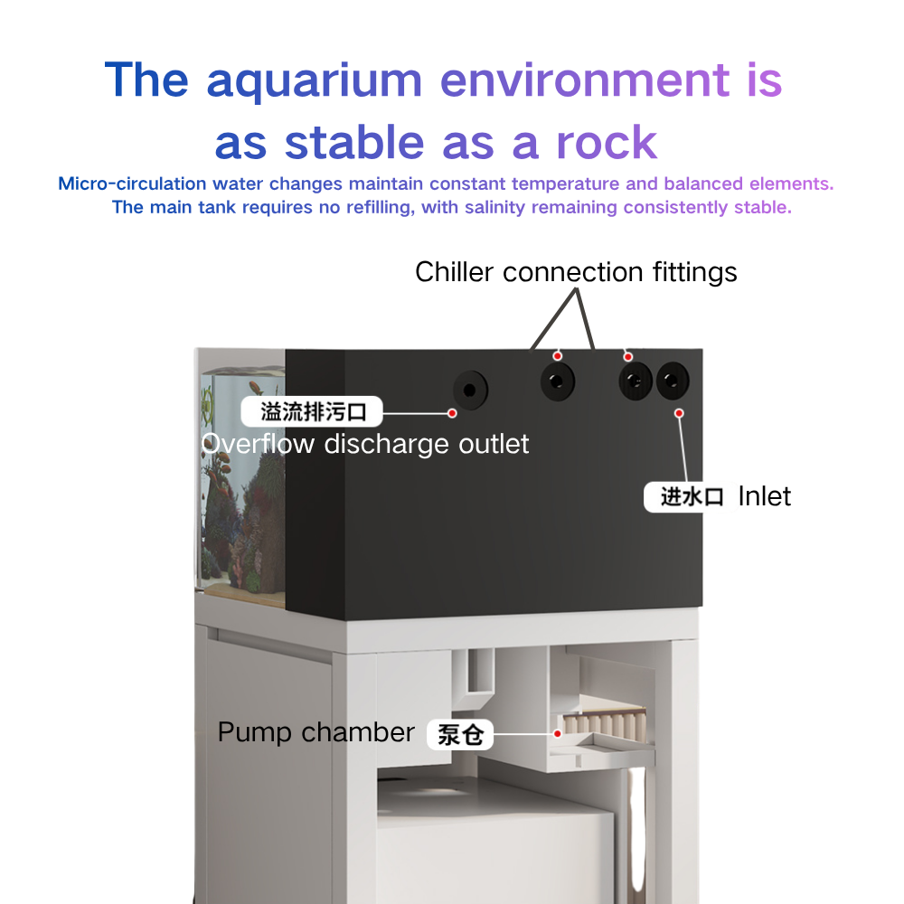 Smart Fish Tank Auto Water Cha - Marine Aquarium Cube ulasan dan harga