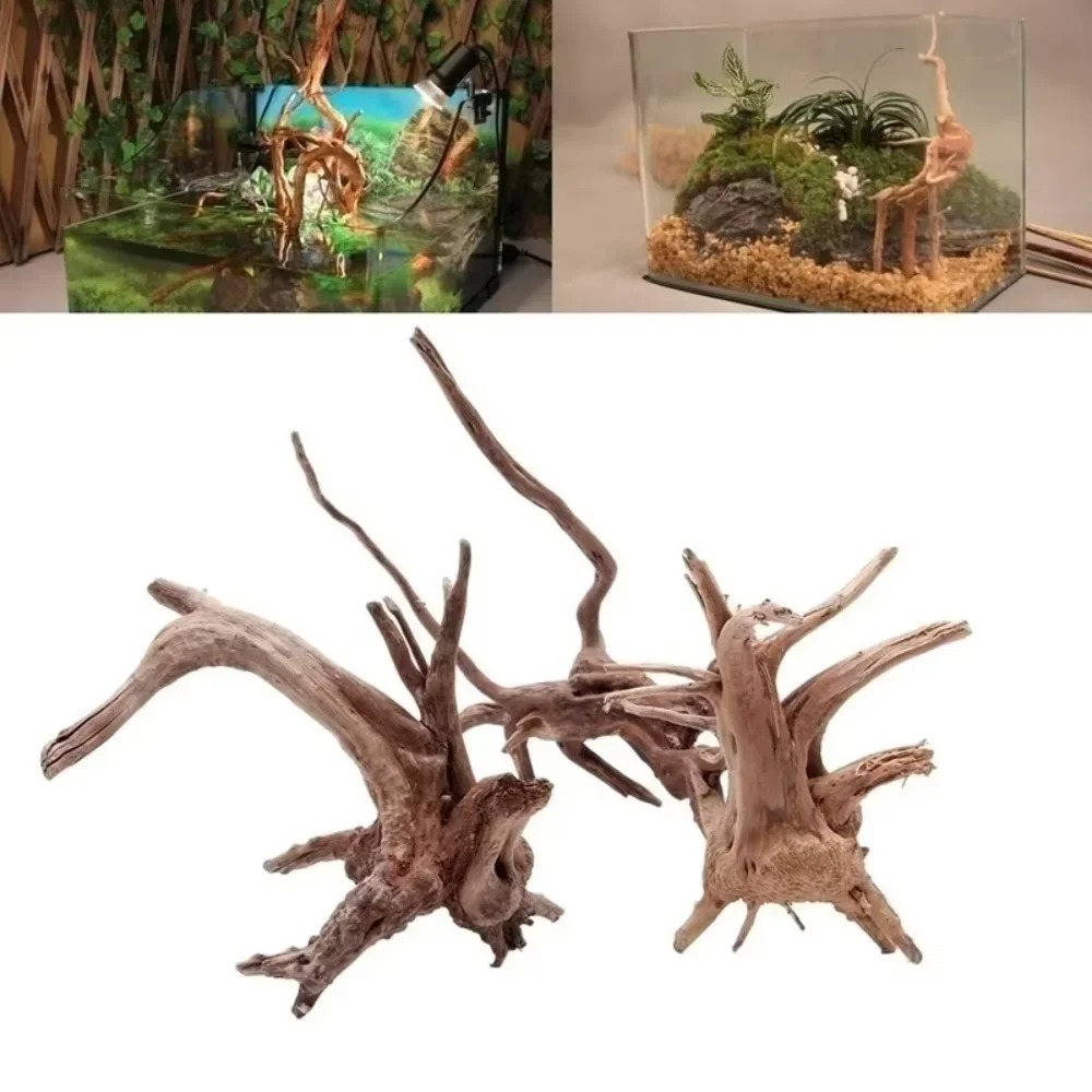 15-20CM Natural Driftwood Aqua - Marine Fish Tank ulasan dan harga